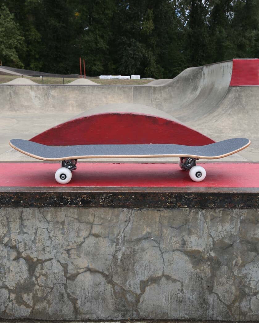 The Best Beginner Complete Skateboard complete skateboard Braille Skateboarding 