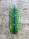 Exclusive Limited Edition: Bohanel x Braille Leaf Deck Braille Skateboarding 