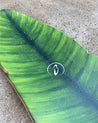 Limited addition Bohanel x Braille Leaf Deck Braille Skateboarding 