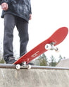 Braille Best Beginner Complete Skateboard Learn to Skate