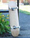 Natural Blank Complete Skateboards complete skateboard BrailleSkateboarding 