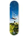 Dreamer Series: Soaring Stories Skateboard Deck skateboard deck Braille Skateboarding 